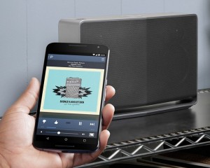 Google Cast for Audio