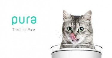 Pura fontaine à eau intelligente pour les chats