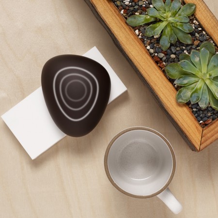 Dojo smarthome piratage