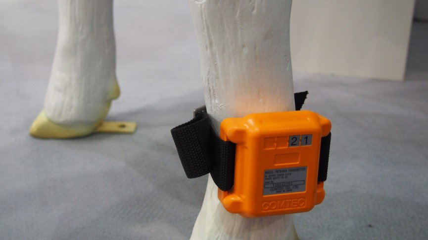 Estrus Detection System for Cattle wearable vaches