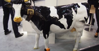 Estrus Detection System for Cattle wearable vaches