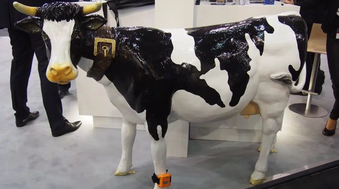 Estrus Detection System for Cattle wearable vaches