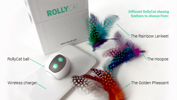 RollyCat objet connecté chat