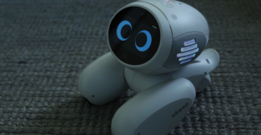 Domgy robot de compagnie Roobo