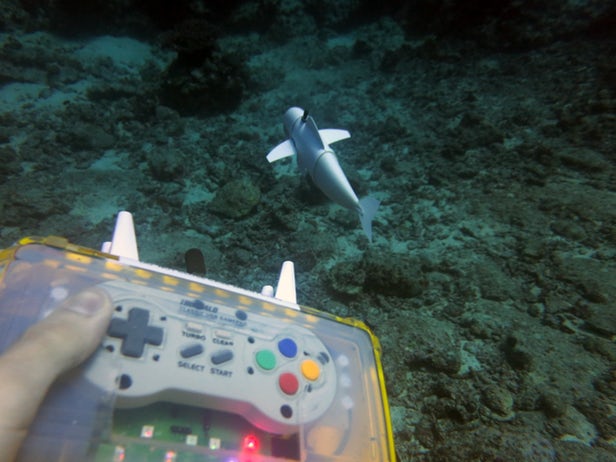 SoFi – Un poisson robot qui analyse de vrais poissons