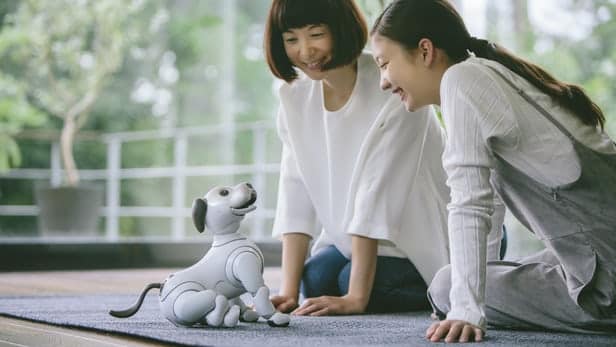 Aibo - L'adorable chien robotique de Sony sera bientôt en vente