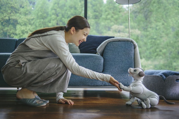 Aibo - L'adorable chien robotique de Sony sera bientôt en vente