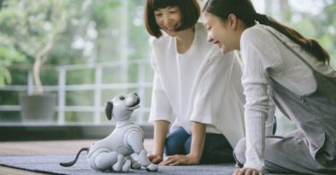 Aibo - L'adorable chien robotique de Sony sera bientôt en vente