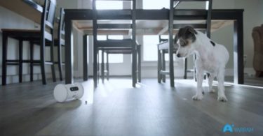 Varram Pet Fitness – Un robot qui distribue des friandises à vos animaux pour les stimuler