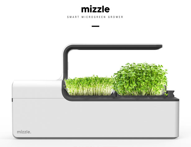 Mizzle – Un potager connecté pour le jardinage à domicile