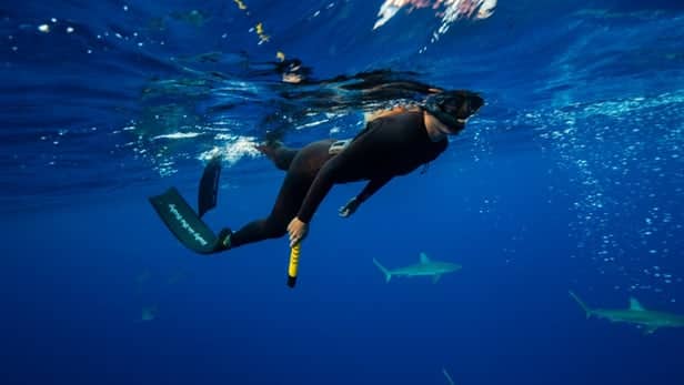 eSpear – Un wearable pour faire fuir les requins avec un champ électrique