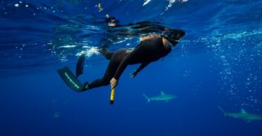 eSpear – Un wearable pour faire fuir les requins avec un champ électrique