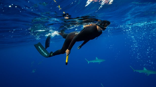 eSpear – Un wearable pour faire fuir les requins avec un champ électrique