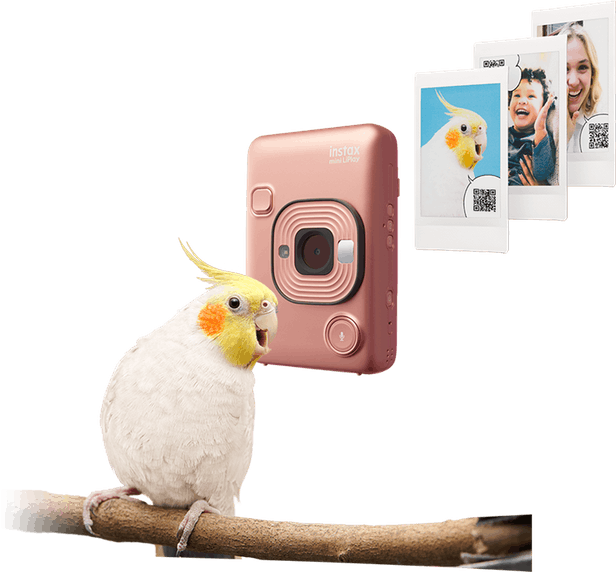 LiPlay - Fujifilm donne une voix à votre instax 1