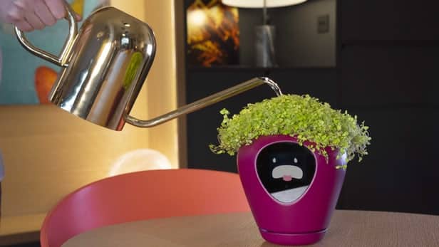 Lua – Un pot connecté pour conserver vos plantes en bonne santé