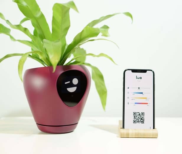 Lua – Un pot connecté pour conserver vos plantes en bonne santé