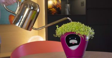Lua – Un pot connecté pour conserver vos plantes en bonne santé
