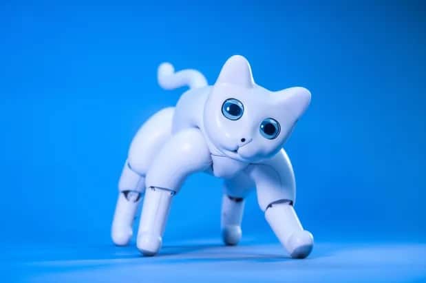 Marscat Ce Chat Robot Va Vous Faire Litteralement Craquer