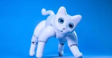 MarsCat - Ce chat robot va vous faire littéralement craquer