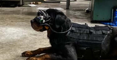 Des lunettes AR pour les chiens de l’armée américaine