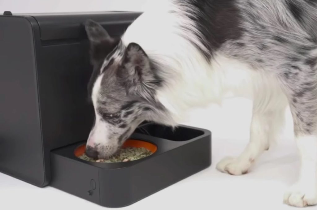 Le Kibus sert automatiquement des repas chauds pour les chiens