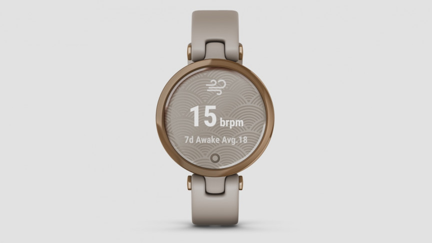 Garmin Lily – Une smartwatch 34mm allégée destinée aux femmes 1