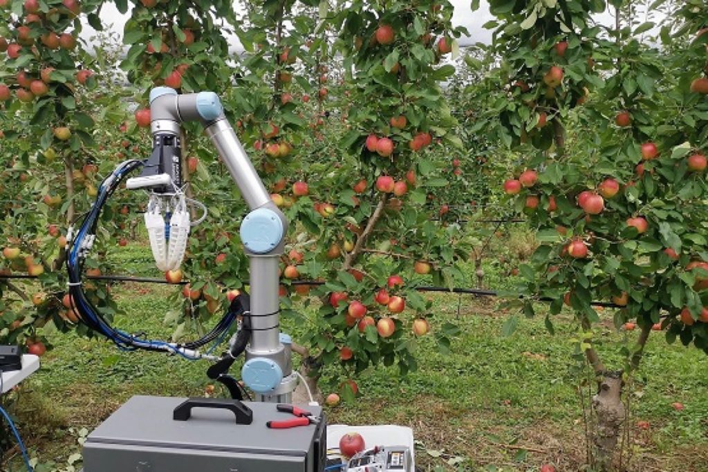Ce robot de récolte de pommes cueille un fruit toutes les 7 secondes