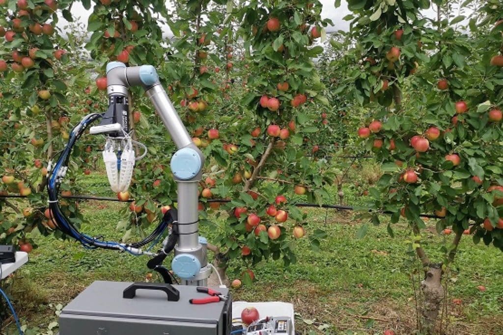 Ce robot de récolte de pommes cueille un fruit toutes les 7 secondes