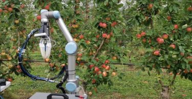 Ce robot de récolte de pommes cueille un fruit toutes les 7 secondes
