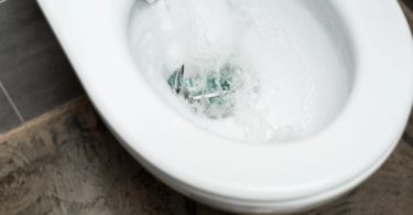 Ces toilettes intelligentes utilisent l’IA pour détecter les signes de troubles gastro-intestinaux