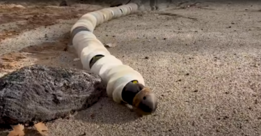 EELS - Un nouveau robot de la NASA semblable à un serpent