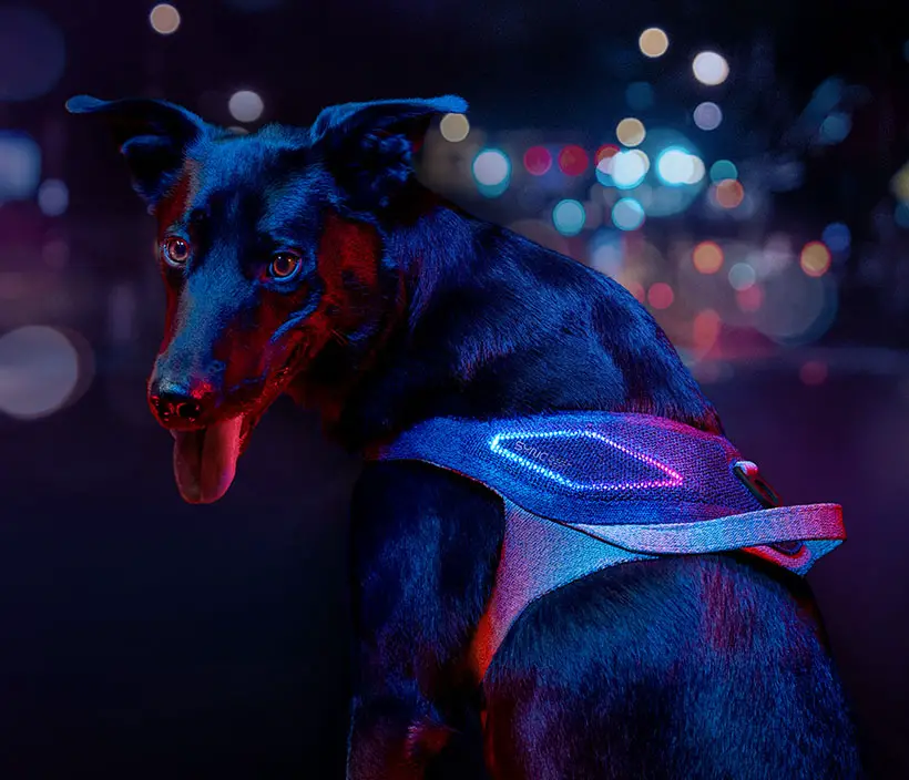 JK9 Sync - Un harnais intelligent pour chiens urbains