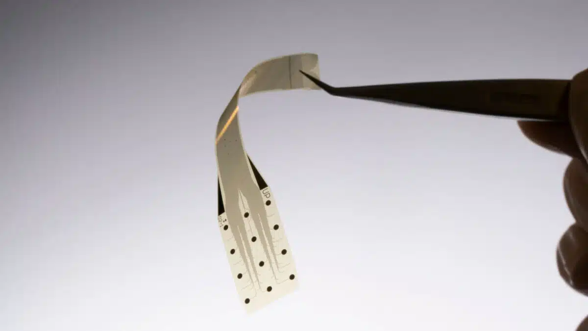 Inbrain, concurrent de Neuralink, n'ira « jamais » au-delà des applications médicales avec ses implants cérébraux