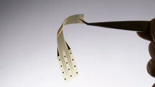 Inbrain, concurrent de Neuralink, n'ira « jamais » au-delà des applications médicales avec ses implants cérébraux