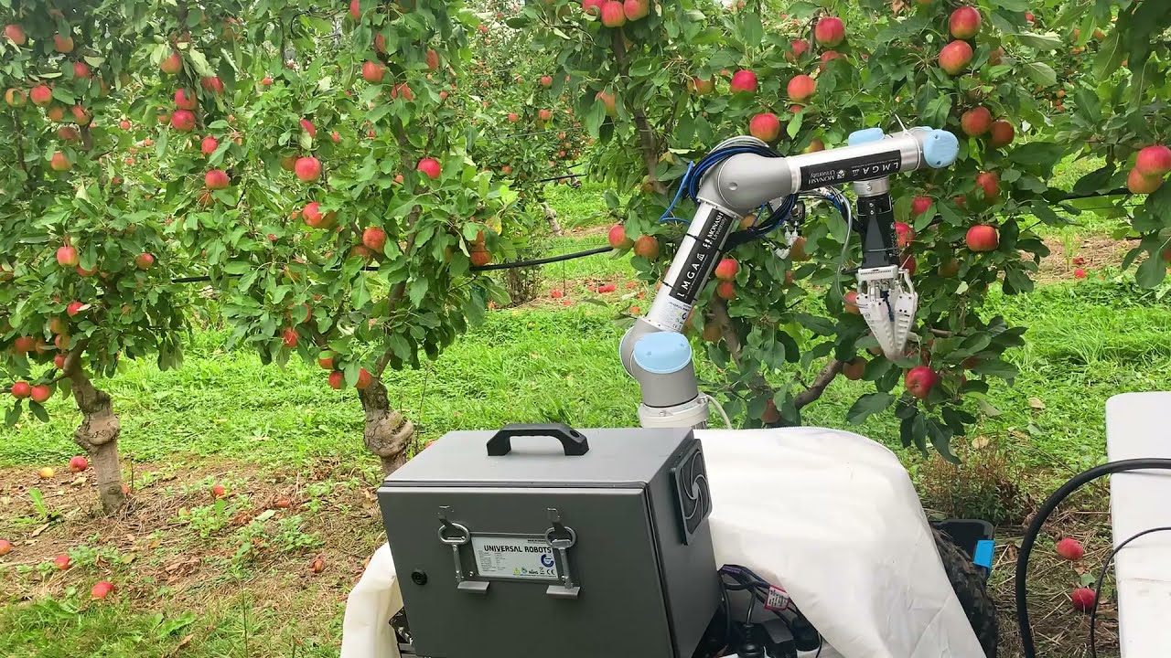 Ce robot de récolte de pommes cueille un fruit toutes les 7 secondes
